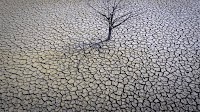 Earth shattered global heat record in ’23 and it’s flirting with warming limit, European agency says