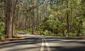 Drivers 'rationalise' risk taking amid WA's worst road toll in 18 years