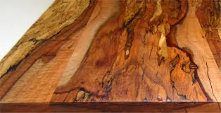 Image result for spalted maple lumber pictures