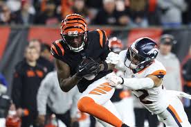 Cincy Jungle - News update