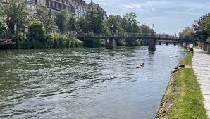 Strasbourg : les secours mobilisés pour tenter de retrouver une personne disparue dans l'Ill près du pont Kuss