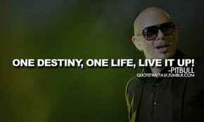 Pitbull Sayings And Quotes. QuotesGram via Relatably.com