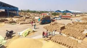 न्यूनतम समर्थन मूल्य latest news photo (Jagran)