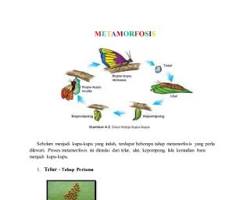 Gambar Handout media pembelajaran SD
