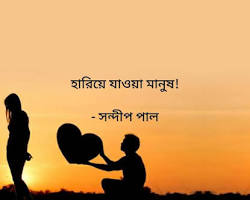 Image of হারিয়ে যাওয়া মানুষ