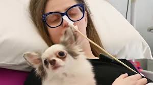 Chemio con il cane accanto, al via il piano per umanizzare le cure a Treviso
