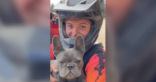 Dingoes in Australia