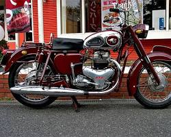 メグロ・スタミナK1の画像