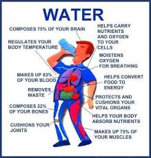 Useful information about water !!!! | Inspirational Quotes ... via Relatably.com