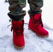 Résultat de recherche d'images pour "timbs"