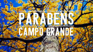 Resultado de imagem para campo grande ms