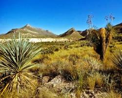 Image of TransPecos Landscape