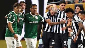 Palmeiras vs. Botafogo: Clásico Brasileño con Sabor a Mundial de Clubes - Imagen principal del artículo