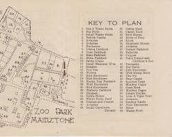 Image of Maidstone Zoo in 1940