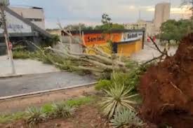 Chuva com granizo alaga vias e derruba árvores em Campinas