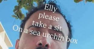 Trend Google: elly schlein