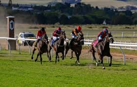 Hollywoodbets Racing Tips: Kenilworth & Durbanville Preview!