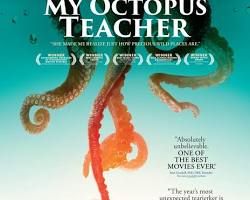 Image of My Octopus Teacher (2020) documentary poster
