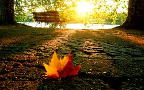 Imagini pentru poze de toamnă