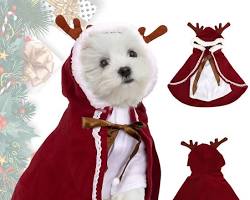 various dog Christmas clothesの画像