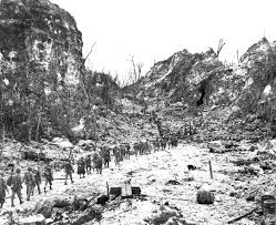 Image result for battle of peleliu