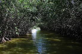 Maravillas de Tumbes