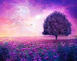 Image result for flowers wallpapers 3d