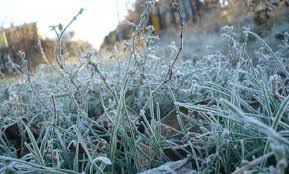 погода николаев