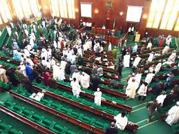 Image result for NIGERIAN HOUSE OF REPRESENTATIVE IN PICTURE
