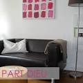 Location appartement meuble lyon 6eme dieu