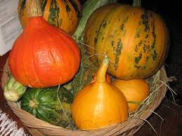 images?q=tbn:ANd9GcQ0Rlan1r4Lg4bdriUsV2rNgyhjSzn0SSeEkIXGy22aiuuPXewr