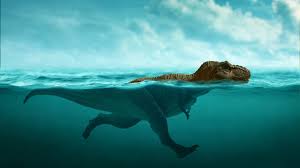 National Geographic - News update