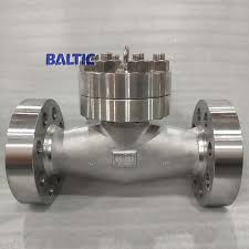 Swing Check Valve with Eyebolt, A182 F304, DN50, PN420 - Baltic
