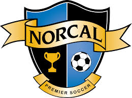 Image result for norcal