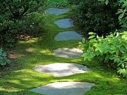 Image result for foot path