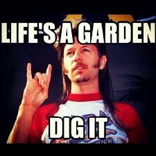 Joe Dirt Quotes Right. QuotesGram via Relatably.com