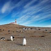 Punta Arenas