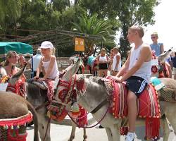 Imagem de Mijas Donkey Taxi