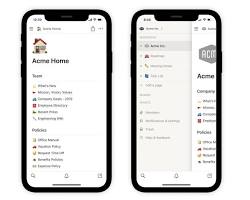 Image of Notion app interface