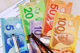 Government benefit cheques coming to Canadians in February 2026 | National