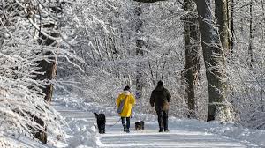 bauernregel januar schnee