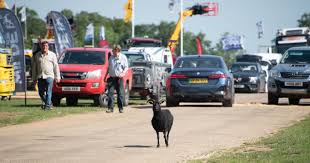 Norfolk Show