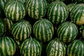 "Watermelon Pile" Images – Browse 26 Stock Photos, Vectors, and Video | Adobe Stock