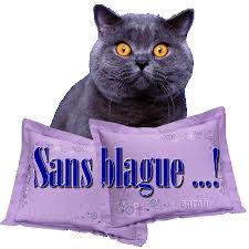 images?q=tbn:ANd9GcQ1FKWTYumS_XlulJ9Eyoq