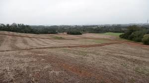 Prazo para declarar Imposto Territorial Rural começa nesta 2ª feira