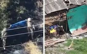 Вільне радіо - News update