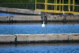 Gobierno identifica pozos en desuso para sumar millones de galones de agua en el área metropolitana