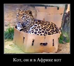 images?q=tbn:ANd9GcQ1bXbKxAsGH8qx-EqVvRB