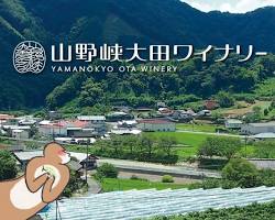 山野峡大田ワイナリー（広島県）の画像