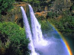Image result for hawaii